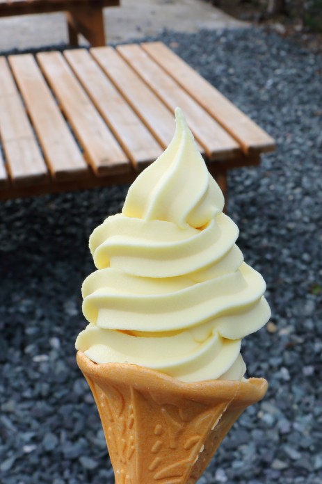 夏みかんアイスクリーム
